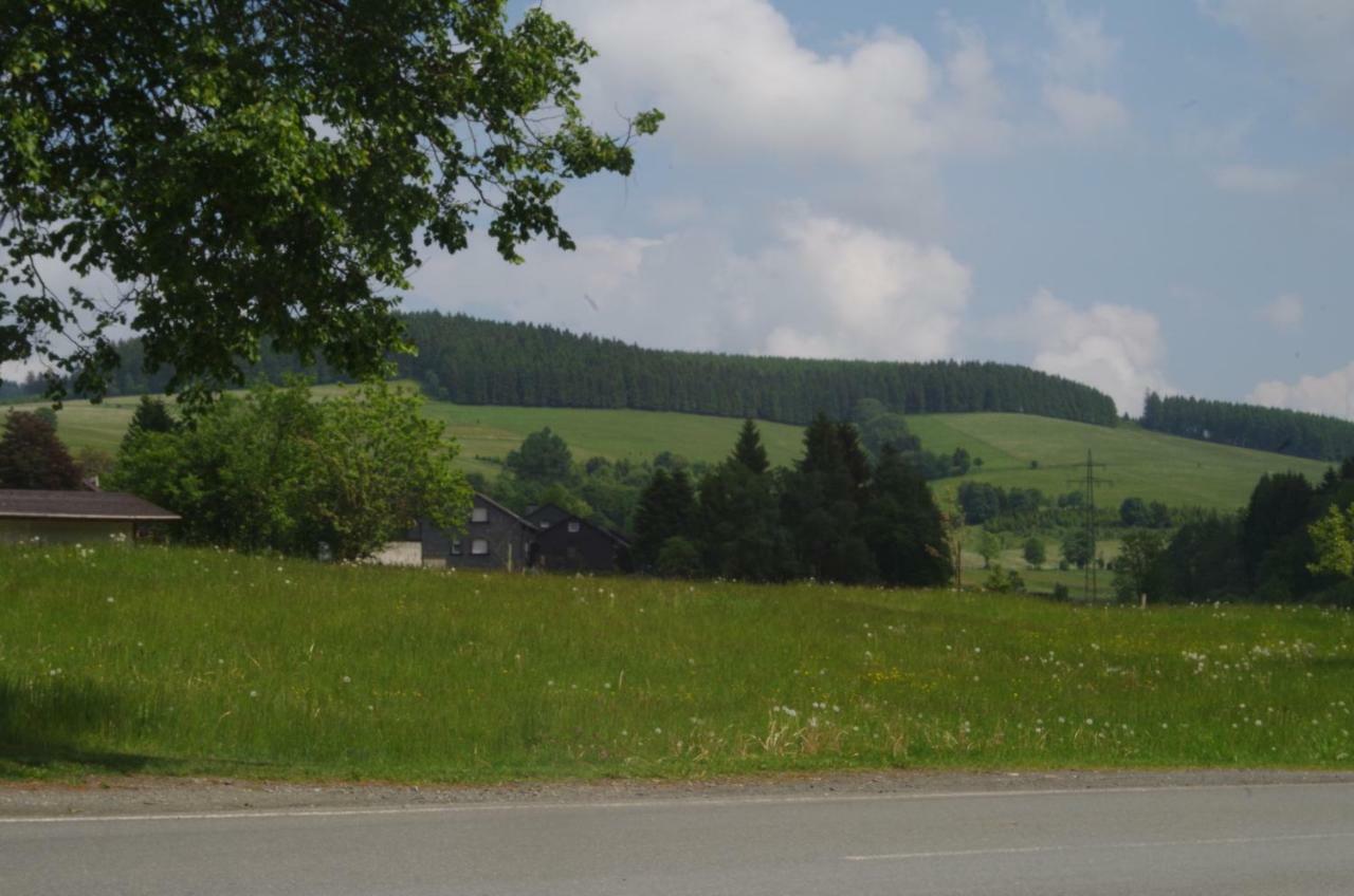 Ferienwohnung Das gelbe Haus 3 Winterberg Exterior foto